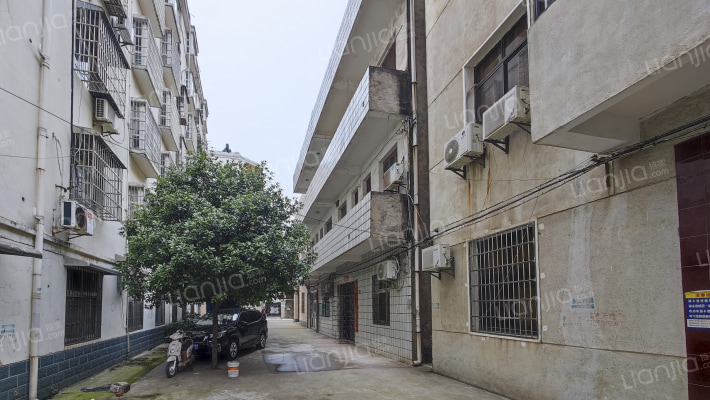 高潮村周家冲120号外景图