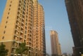 张泾新村三区44