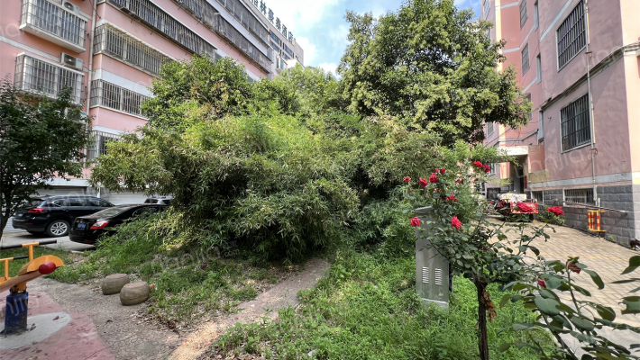 天中茗苑外景图