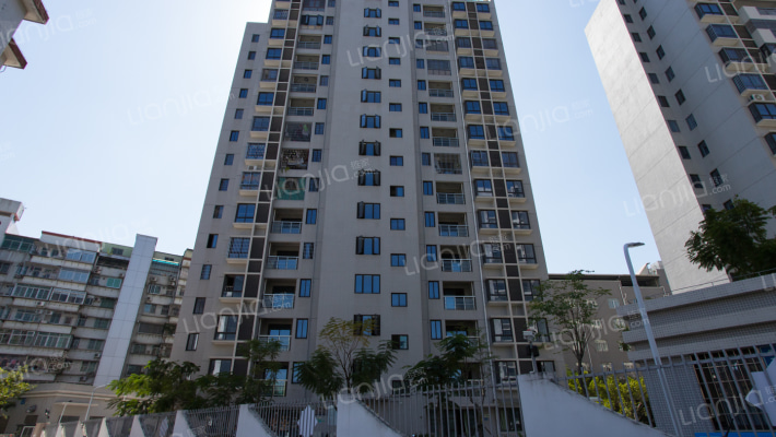 三秀制面厂安置房小区外景图