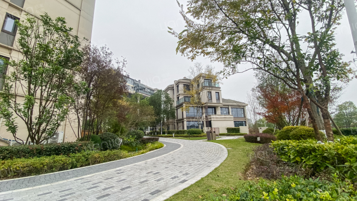 龙兴国际生态新城天凌外景图