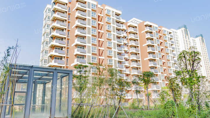 乐业中心外景图