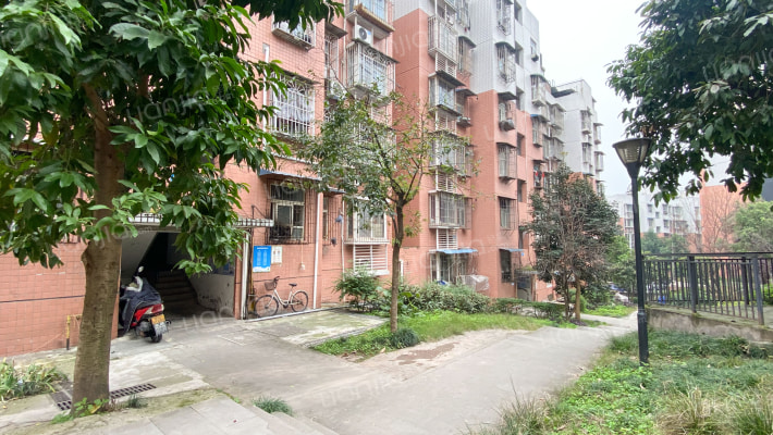 港兴小区外景图