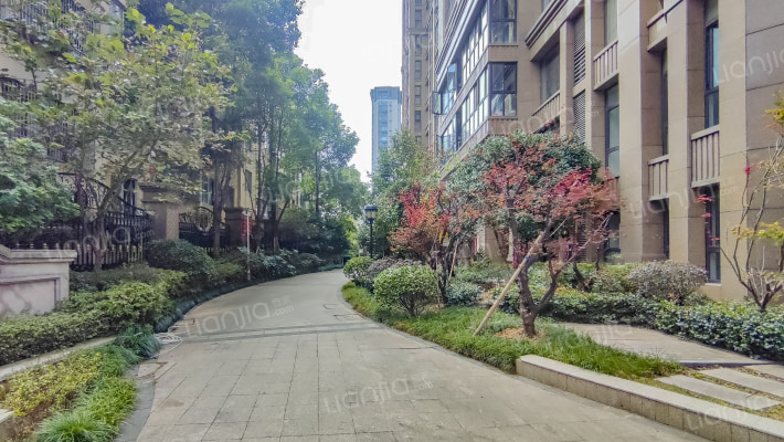 铂金锦园外景图