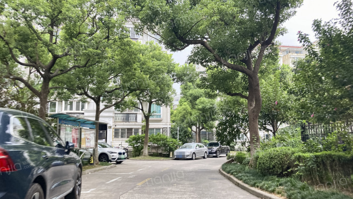 黄山新苑外景图