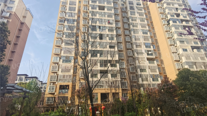 柳青花园外景图