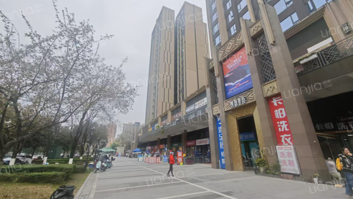 凯德世纪名邸外景图