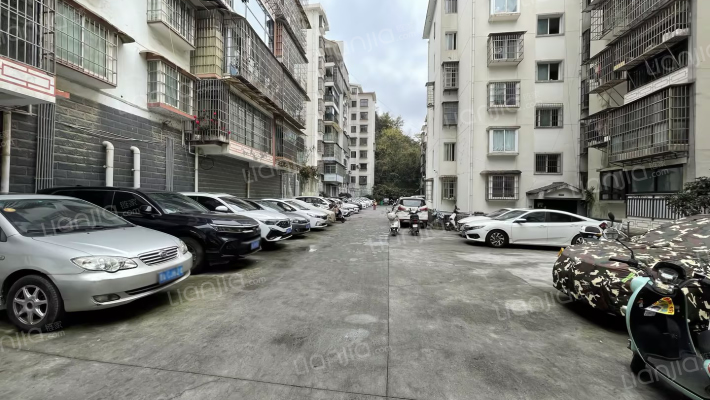 金狮小区狮子组团外景图