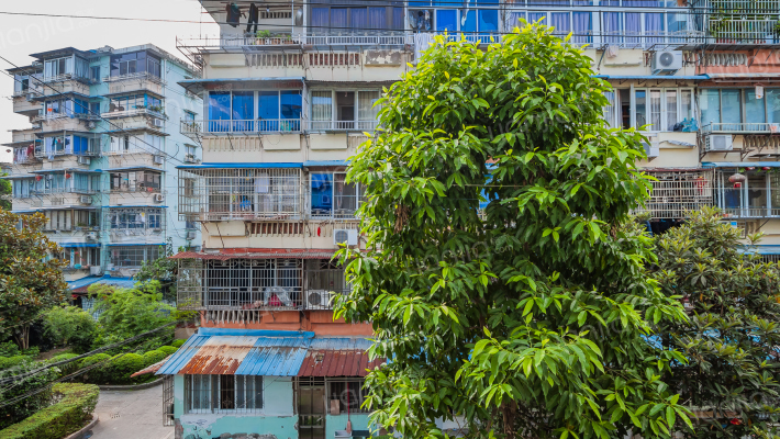 水心住宅区柏组团外景图