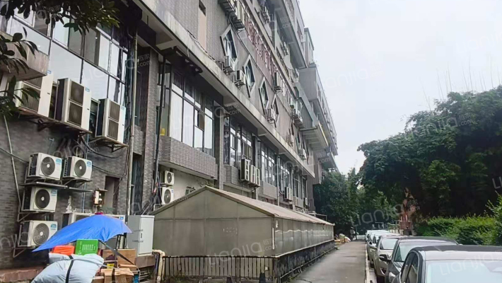 锦城苑商厦外景图