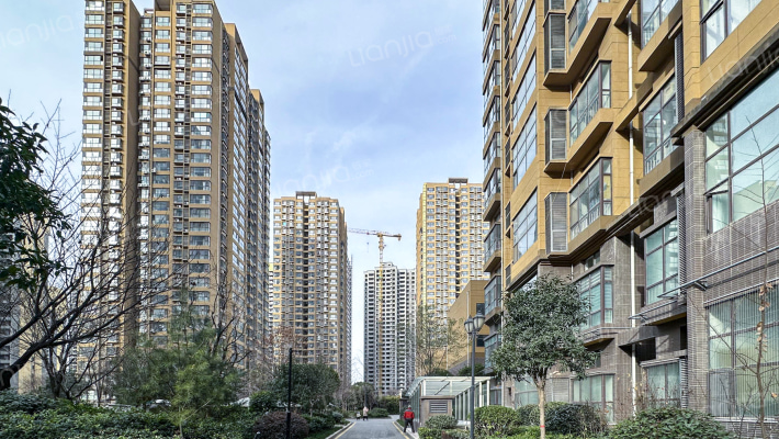 姜溪花都望溪区外景图