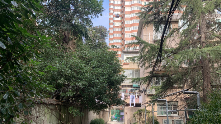 西诸安浜路501号外景图