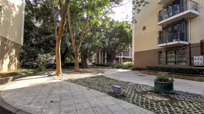 江南水都名筑外景图