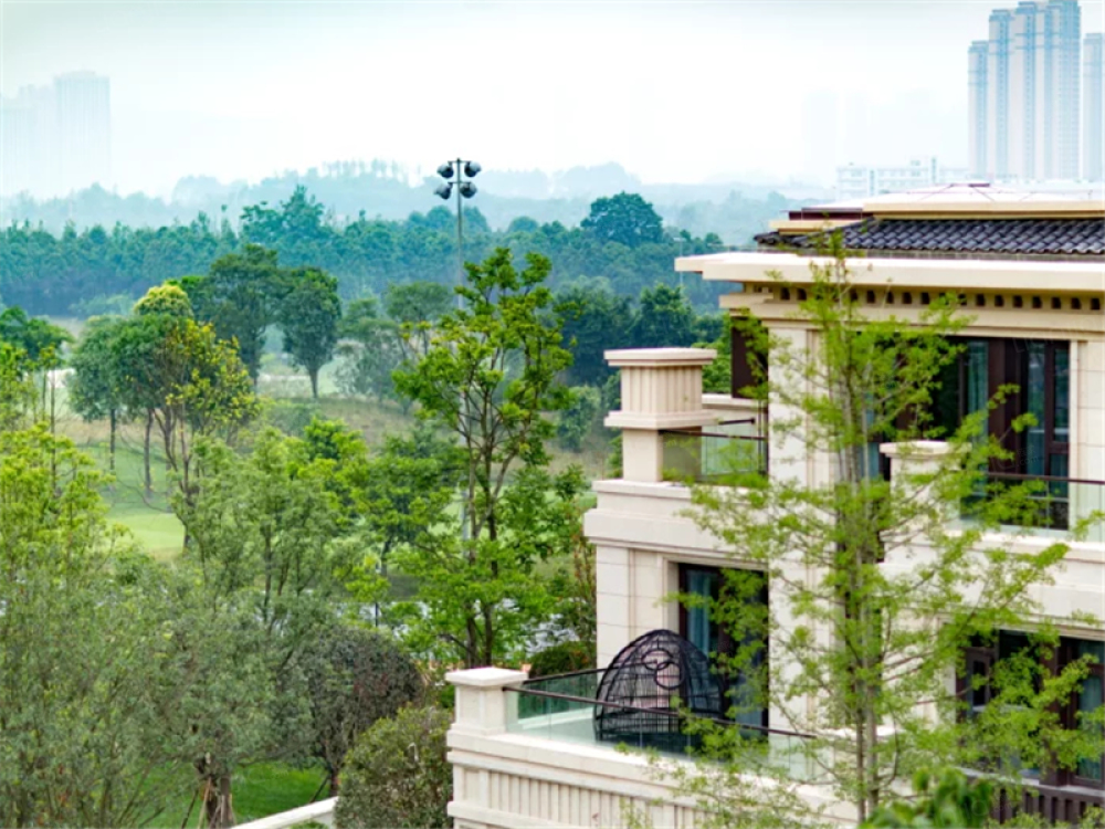 卧龙谷壹号图片_卧龙谷壹号实景图(成都链家新房)