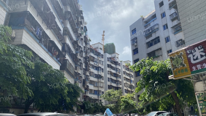 金宇花苑外景图