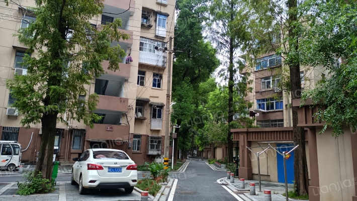 创业村北区外景图