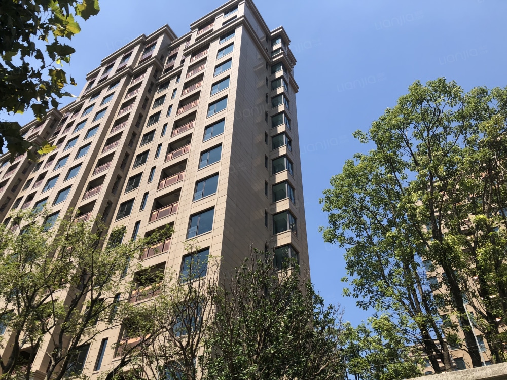 大名城紫金九号相册