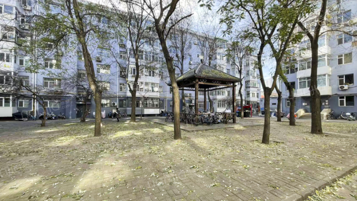 桃园一巷南二条市政府宿舍外景图