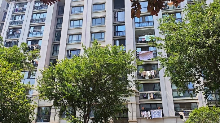 金科王府一期外景图