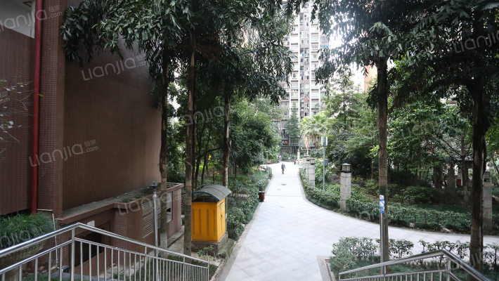 东海星洲外景图