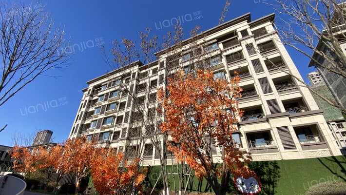 金科新希望集美东方外景图