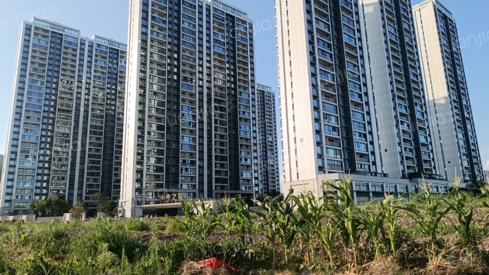 东厦未来之星外景图