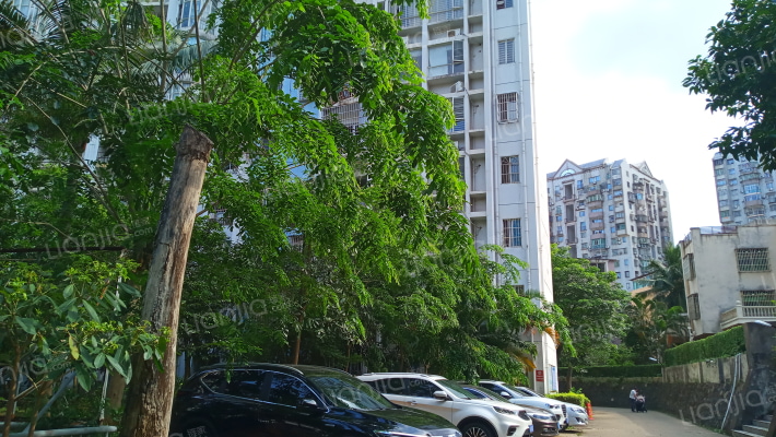 三青大厦外景图