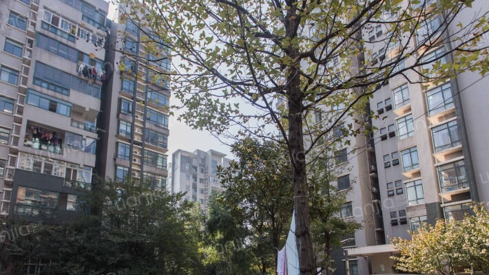 七星雪香花园外景图