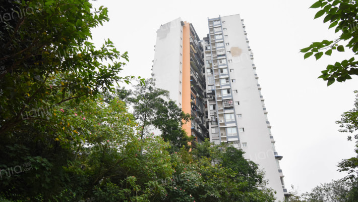 渝复竹芸山水外景图