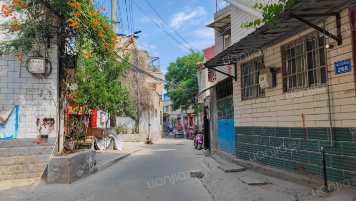 宋门关中街160号外景图