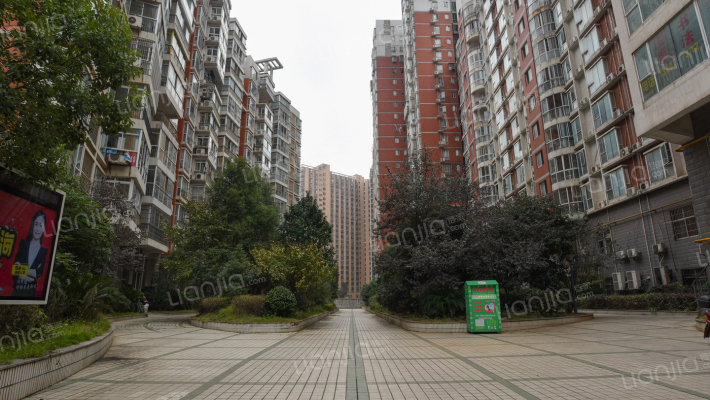 青园花都外景图