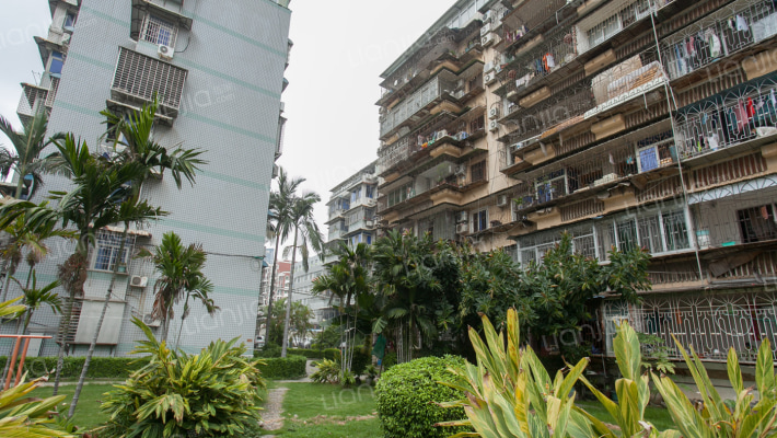 夏新花园外景图