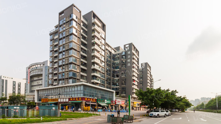 城市峰尚外景图