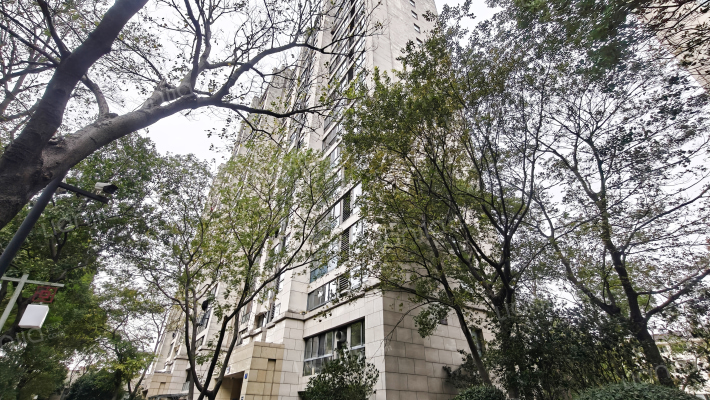 中大简界外景图