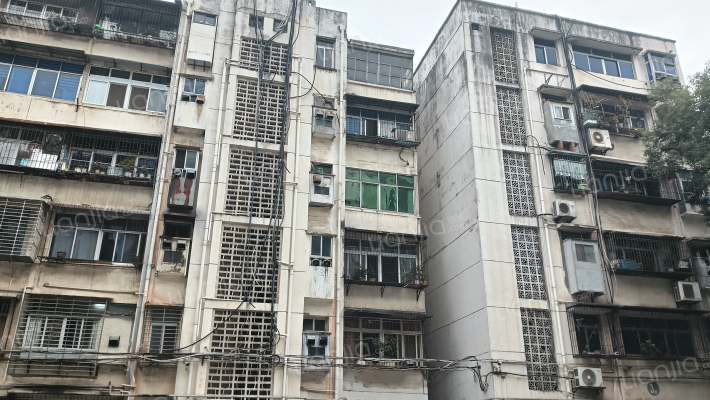 交警三大队家属院外景图