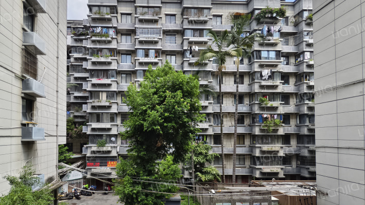 庆城社区外景图