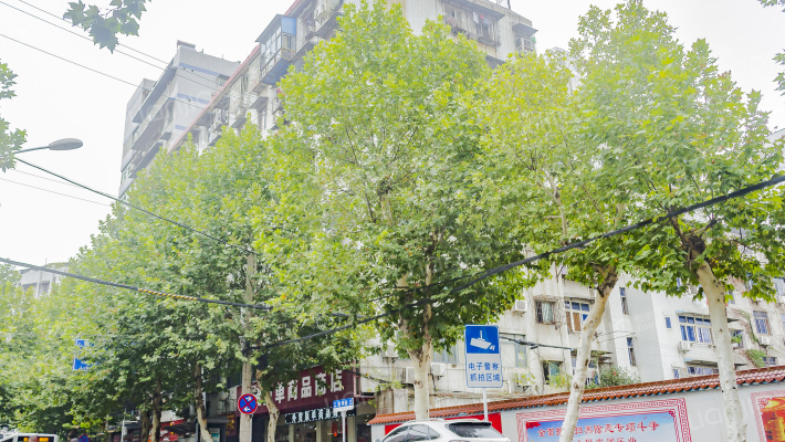 张自忠小路外景图