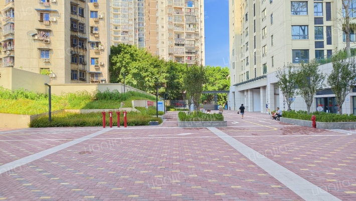 雏扬国际外景图