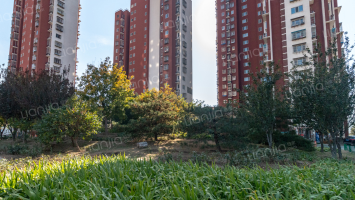 晓月中路20号院外景图