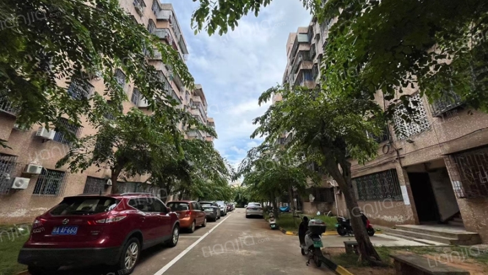 化肥厂宿舍外景图