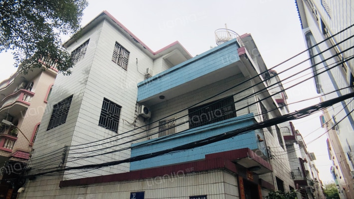 红棉中路外景图