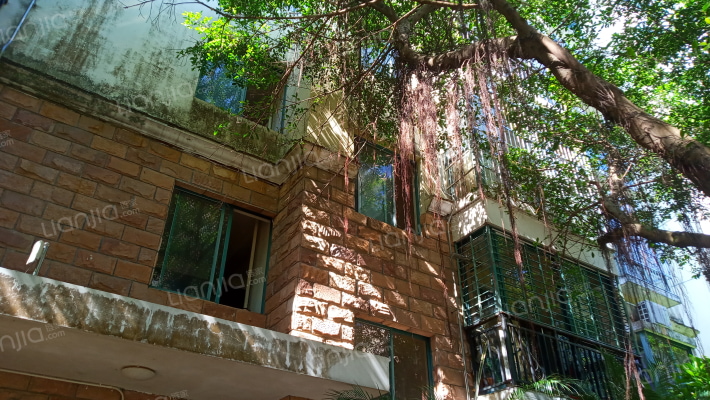 金碧雅苑外景图