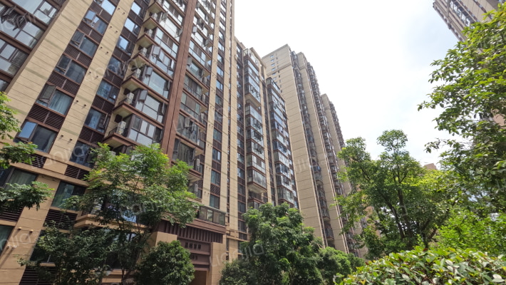 碧桂园星城首府外景图