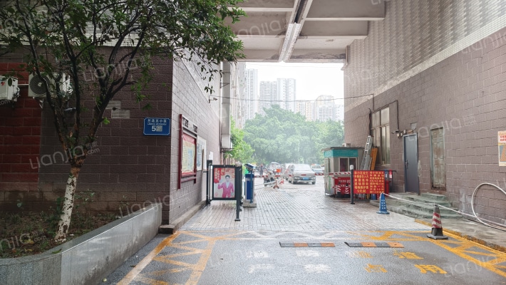 兰花五小区外景图