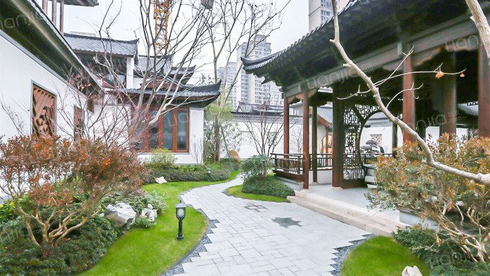 凤栖梧桐外景图