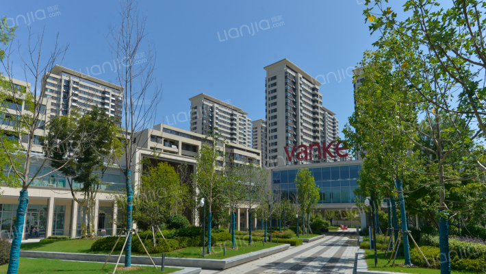 万科公园大道外景图