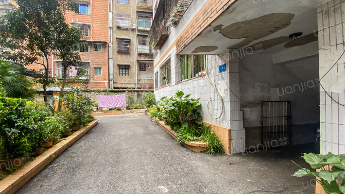 向阳街327号附6号外景图