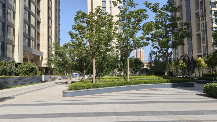 文鑫 时代星空外景图