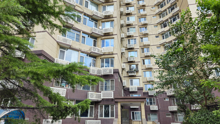 新风街甲1号外景图