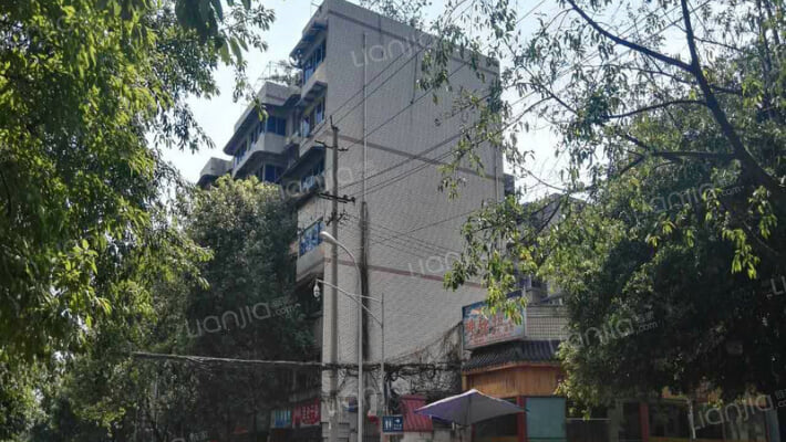 金鱼街5号外景图